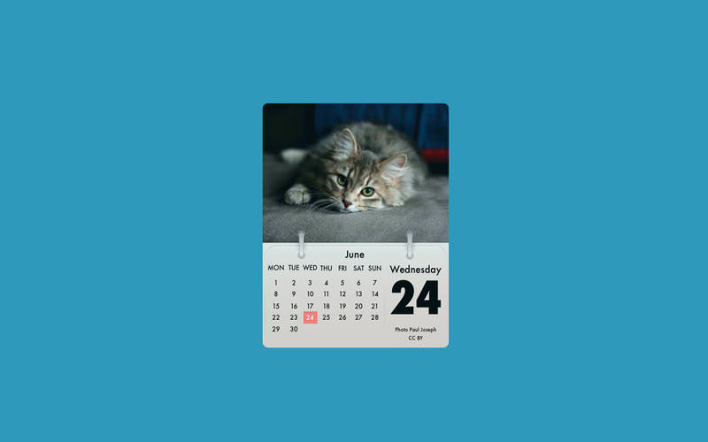 かわいい猫カレンダーをデスクトップに表示できる Cal Cat が無料化した本日のmacアプリセールまとめ ソフトアンテナブログ